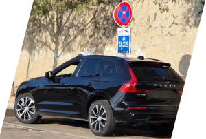 les-transports-du-golfe-corse-vehicule
